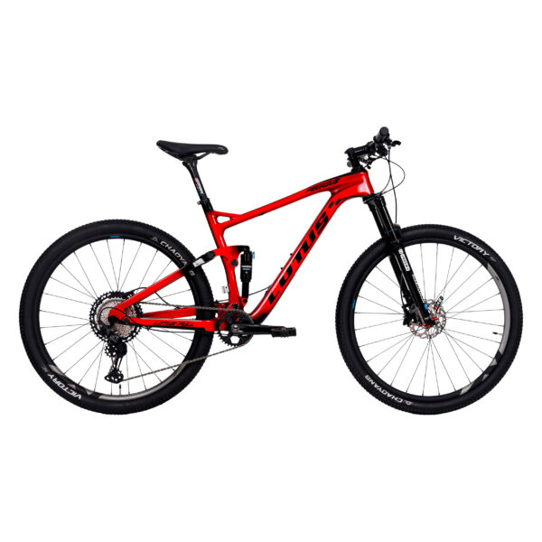 Bicicleta Pegasus Full Carbono Aro 29 - 19 XT 12
