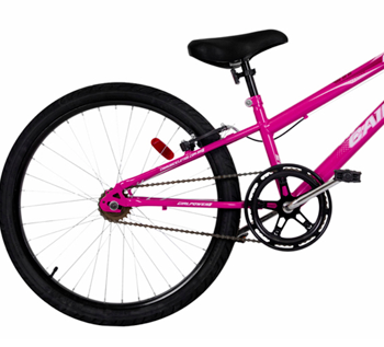 Bicicleta Aro24 MTB Bella Rebaixada Com Cesto - Freio V